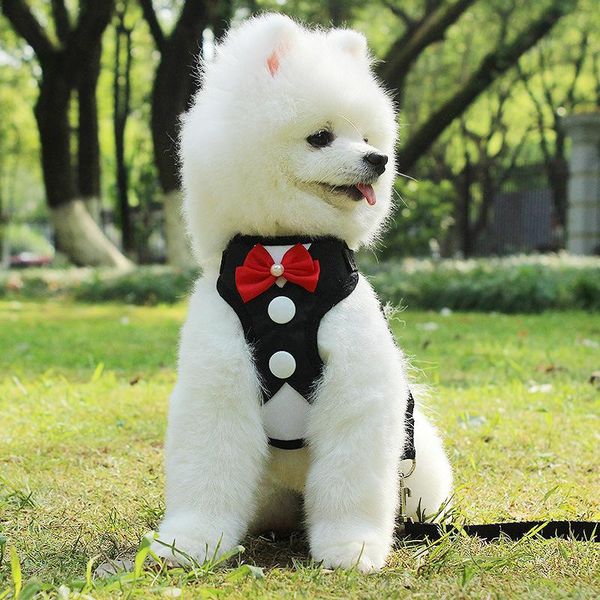 

dog apparel pet chest straps small teddy vest dress towing rope supplies
