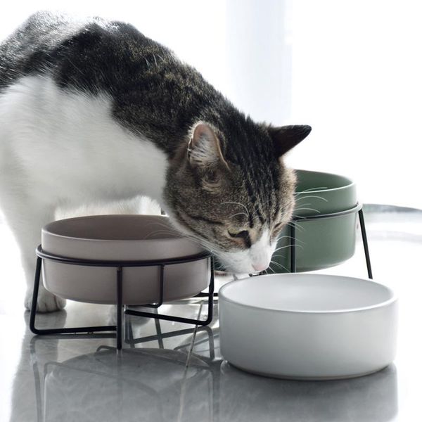 

dog bowls & feeders pet cat ceramic bowl feeding for puppy dogs eating dishes feeder water dispenser bottle supplies products
