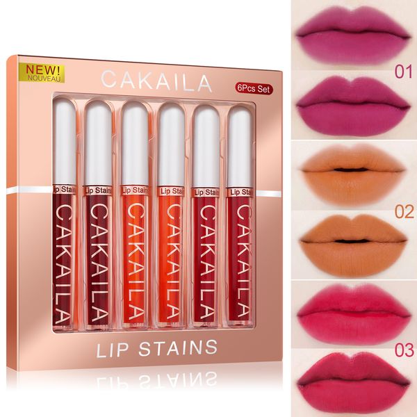 CAKAILA 2.5G x 6 pcs batom líquido fosco Longuage Longuage Link cor gloss Cup não-vara lipgloss kit