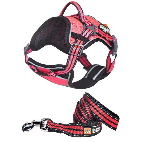 

dog collars & leashes adjustable chest vest pet products comfortable nylon oxford cloth reflective large harness and leash cobom s-l