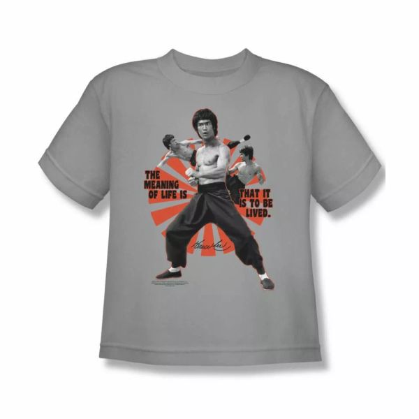 

bruce lee meaning of life youth short sleeve t-shirt sizes- s-xl new, White;black
