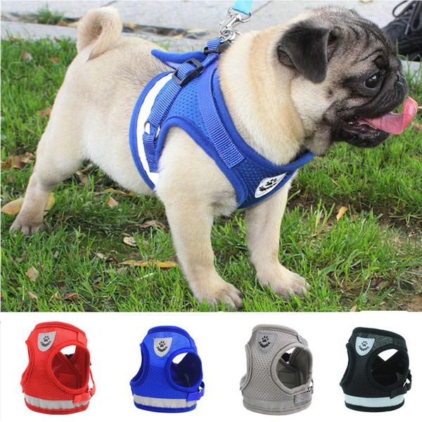 

dog collars & leashes for vip buyer