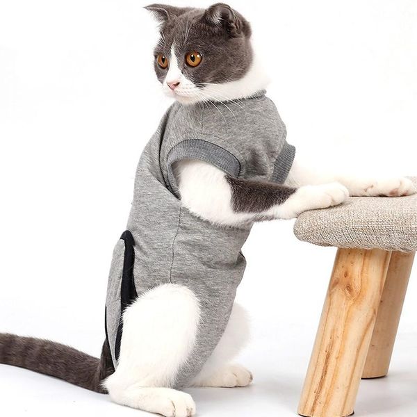 

clothes multifunctional e-collar alternative pet recovery outfit after preventing licking wounds and scratching cat costumes