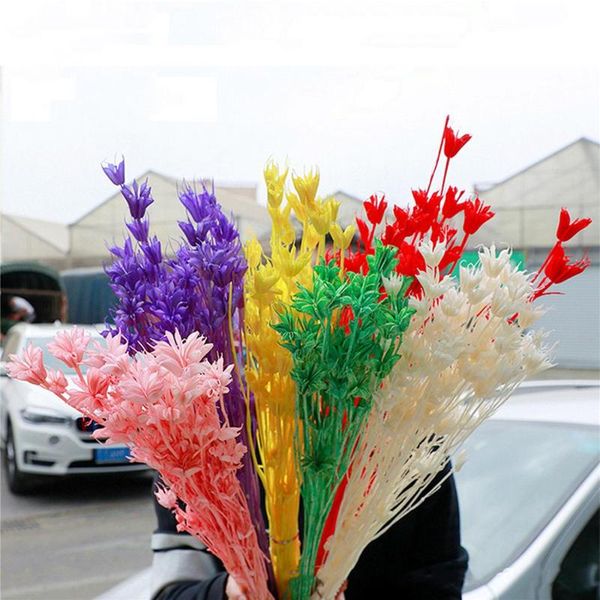 

lot decorative natural dried flower bouquet octagonal for wedding party decoration diy craft home decor scrapbook flowers & wreaths