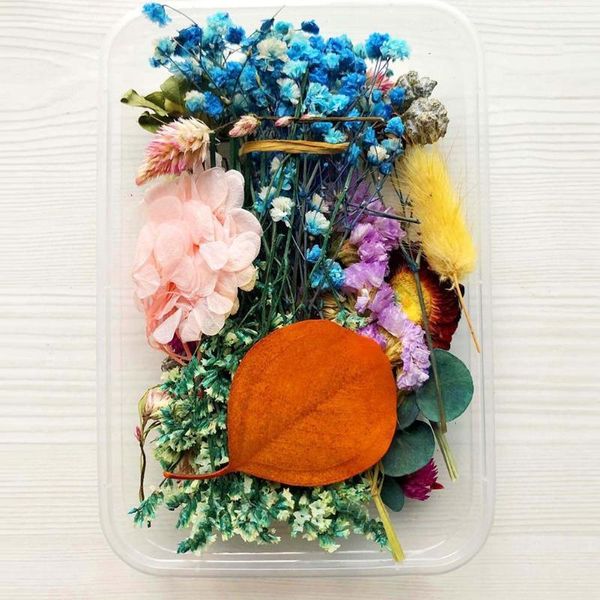

box natural dried flower dry plants real flowers jewelry epoxy making craft accessories necklace diy t9b0 ca v4m2 decorative & wreaths