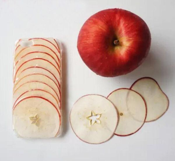 

10pcs dried pressed exopy apple fruit slices plant herbarium for jewelry po frame phone case craft diy making accessories decorative flowers