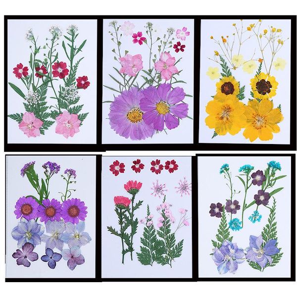 

decorative flowers & wreaths assorted real dried pressed for nail art diy crafts candles resin jewelry pendant floral decors makeup natural