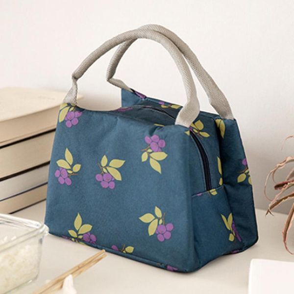 

outdoor bags portable insulated thermal cooler bento lunch box tote picnic storage bag pouch for family on weekend