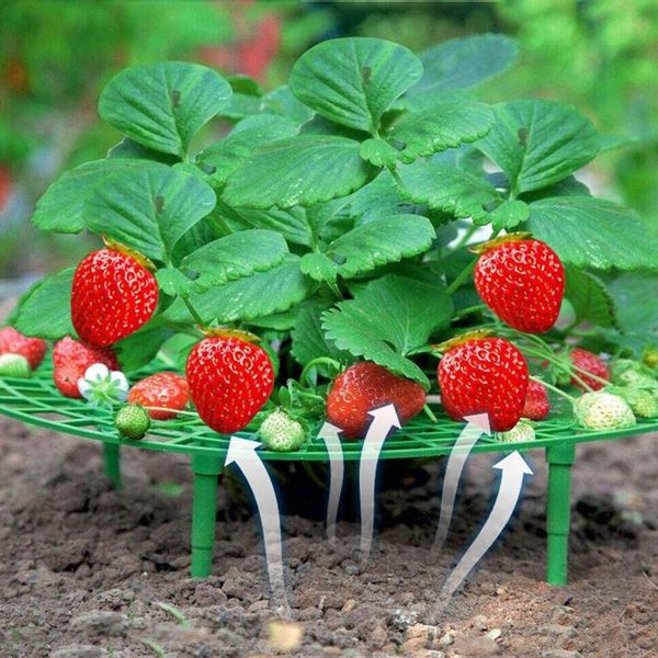 

other garden supplies 5/10/20 pcs strawberry stand frame holder planting rack balcony vegetable fruit plant support flower climbing vine pil