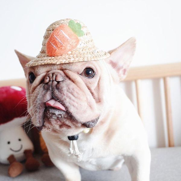 

dog apparel pets rattan woven hat handmade straw with adjustable chin strap for puppy kittens decor supplies decorative accessories
