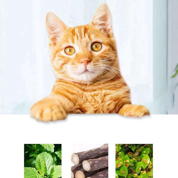 

cat toys pet kitty interactive supplies necklace bite 2021