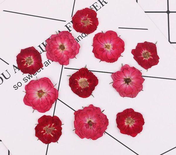 Dekorative Blumen Kränze gepresst getrocknete Rosenblumenpflanzen Herbarium für Epoxidharzschmuck, das Lesezeichen Telefonhülle Gesicht Make -up Nagel machen