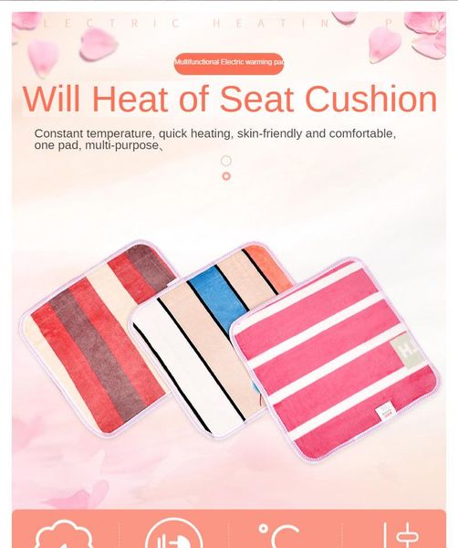 

carpets 40*40 45*45 office heating pad usb plug-in dual-use thickened pet cushion small electric blanket