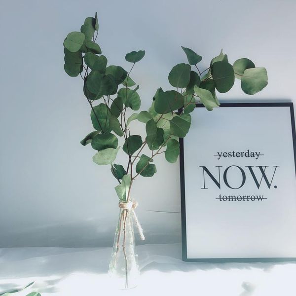 

decorative flowers & wreaths natural eucalyptus flower preserved fresh leaf nature dried christmas wedding home gift box decoration