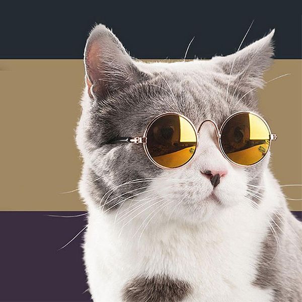 

cat costumes cute dog eyewear glasses pet fashion sunglasses eye protection pets pos props supplies decor toolpet