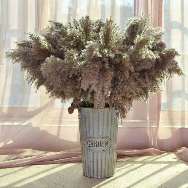 

decorative flowers & wreaths 10 pcs 20pcs real dried pampas grass decor wedding flower bunch natural plants home diy