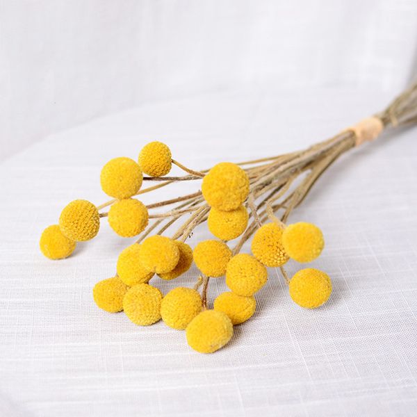 

10pcs natural dried flower golden balls bouquets billy button balls dekoration yellow romantic floral wedding home decoration
