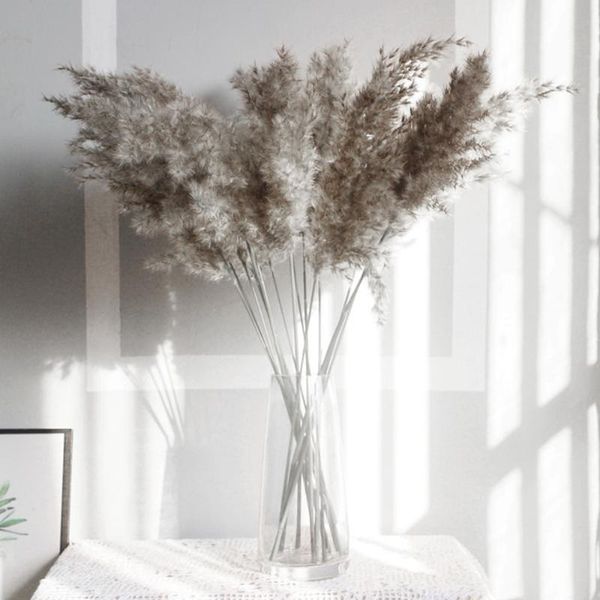 

10pcs natural dried pampas grass flower beautiful reed christmas home wedding decoration phragmites light color flowers decorative & wreaths