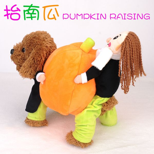 

pet pumpkin cloth dog lilliputian holding funny disguise corkitty teddy