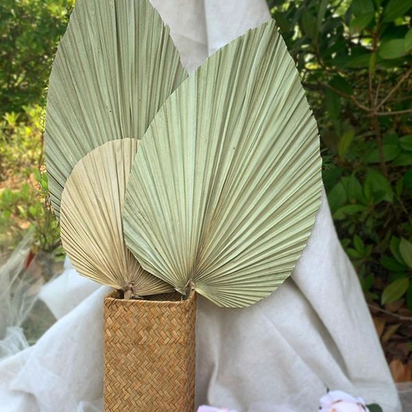

1pcs palm fan leaf dried flower window reception party diy art wall hanging decoration for wedding arch arrangement other home decor