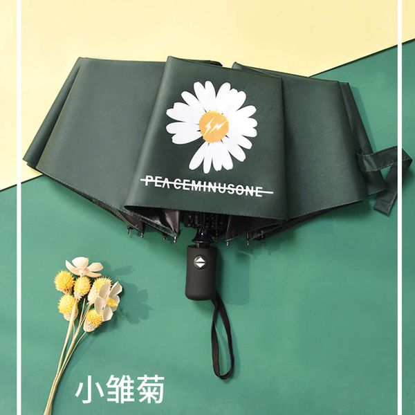 

mini daisy black gum umbrella gd quan zhi tong dragon automatic sunshine and rain dual purpose folding sunscreen