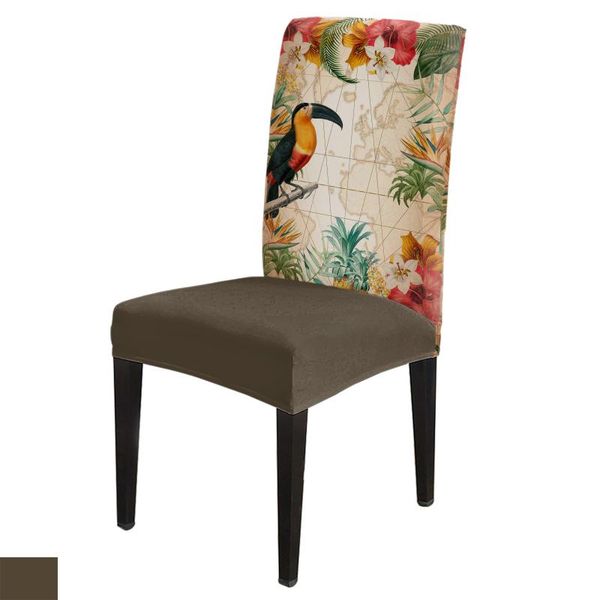 

chair covers toucan flower fruit pineapple map dining room spandex elastic for wedding el banquet