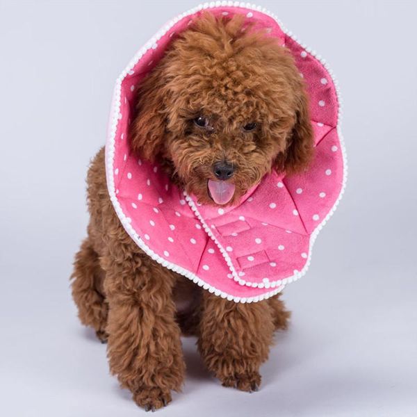 

color pet cat dog circle neck collar anti bite beauty adjustable strap protector cover ring collars & leashes