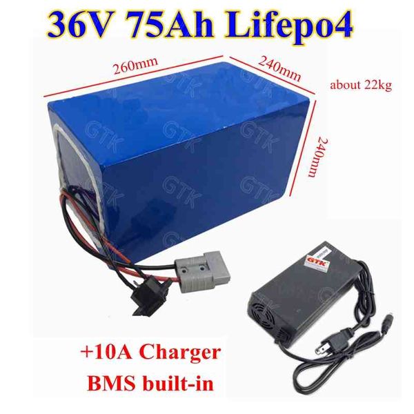 Şarj Edilebilir LIFEPO4 36 V 75AH Lityum Pil Paketi BMS ile 12s 3000 W Elektrikli Elektrikli El Araçları için Enerji Depolama Sistemi + 10A şarj