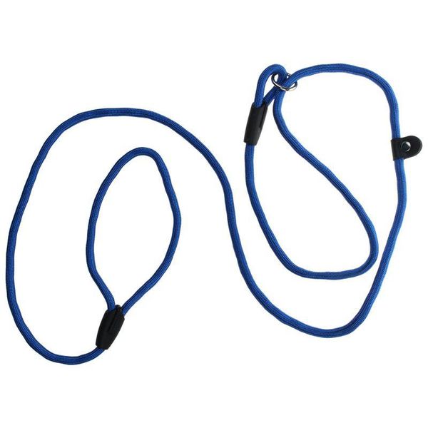 

dog collars & leashes strong nylon pet lead puppy walking slip collar rope strap training leash, blue