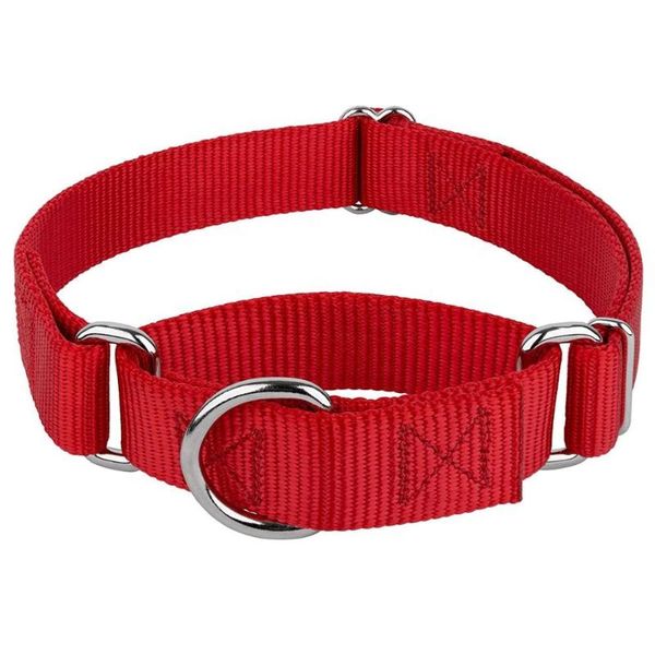 

dog collars & leashes personalized pet kingtale training choke nylon martingale