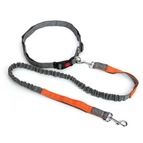 

dog collars & leashes sling color pet leash walking training traction rope with a