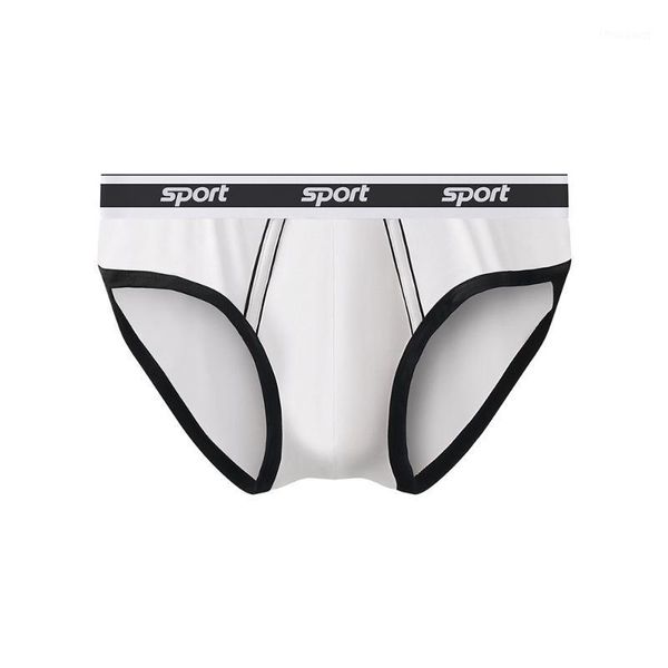 

underpants briefs men slip gay underwear man modal jockstrap homme thong male lingerie bikini panties strings, Black;white