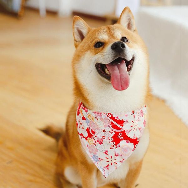 

cat collars & leads large medium small dogs bandanas cherry/watermelon/cartoon pattern puppy cats adjustable dog necklace scarf
