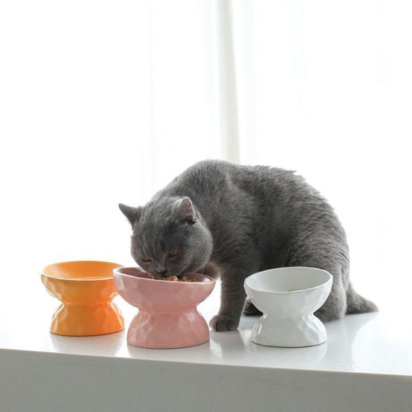 

ceramics raised cat bowl slanted for stress angled less regurgitating and vomiting hfing bowls & feeders