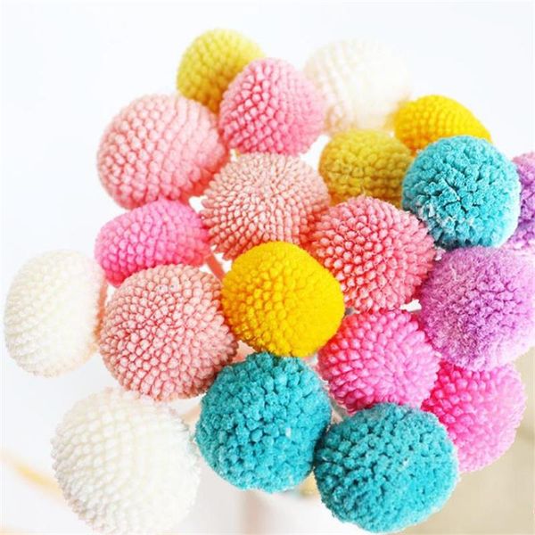 

decorative flowers & wreaths 7/10pcs natural dried flower balls wedding christmas decoration preserved bouquet home decor