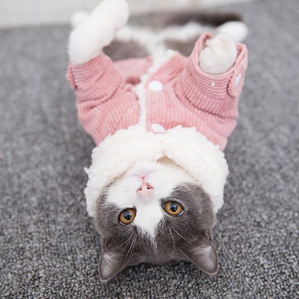 

autumn/winter fleece pet clothes for small dogs cats thicken warm coat jackets chihuahua clothing supplies dog apparel