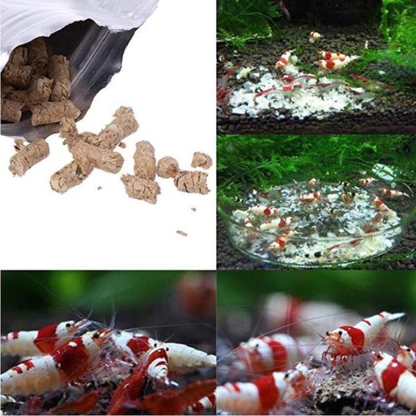 

aquariums hacloser shrimp snail feeding for aquarium fish tank pond 40g