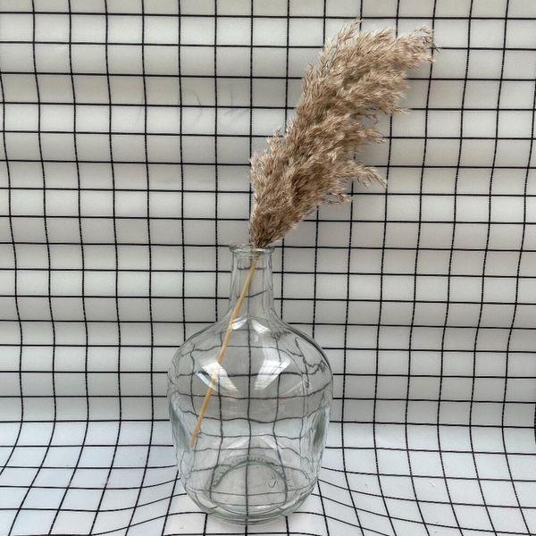 

20 stems dried pampas grass dred flower fall decor