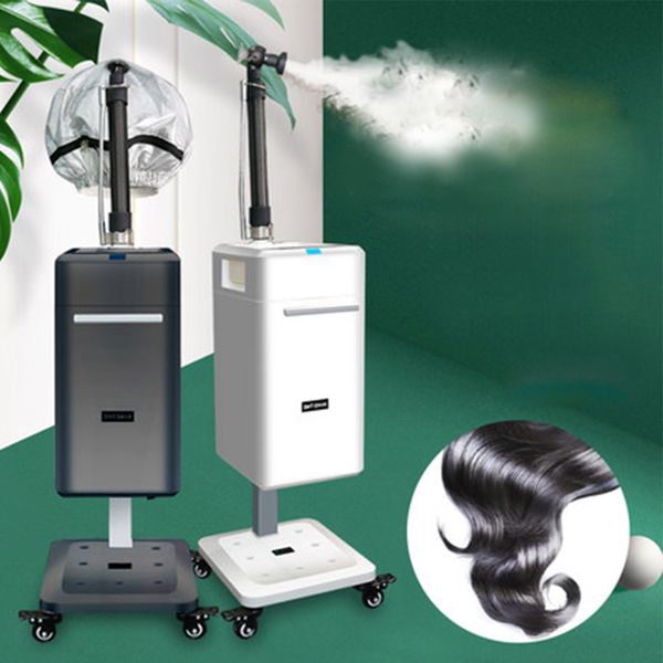 

hair care ultrasonic micro mist speed up color dye and treatment nano hair steamer