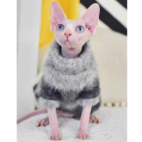 

cat costumes kat kleren zachte pluche trui warme winter sphinx haarloze kleding