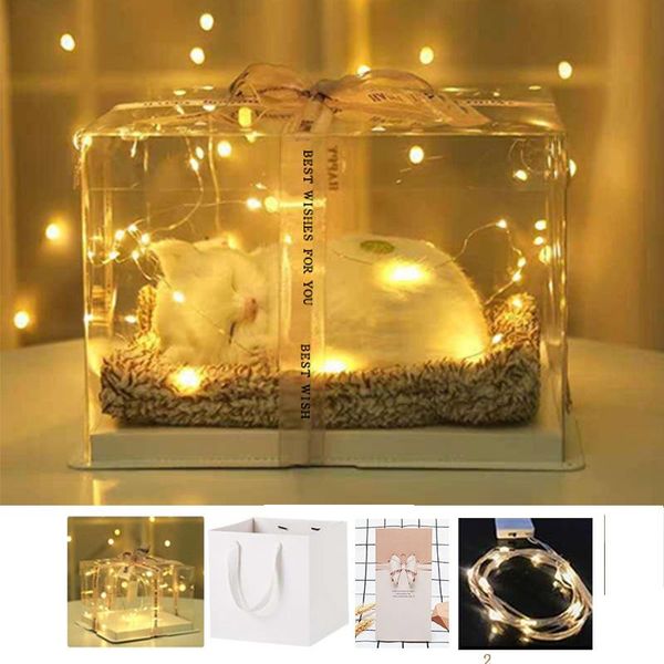 

gift wrap simulation cat dog creative cute pet birthday animal activated carbon