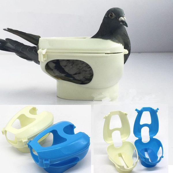 

other bird supplies 1pc racing pigeon holder for injection feeding fixed mount box vaccination bondage tool