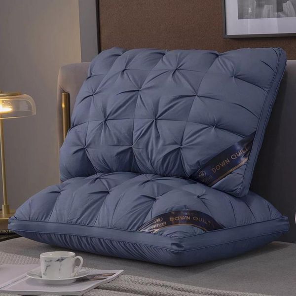 

pillow washed tencel feather cotton with storage bag five-star el inner washable bedding sleeping down pillows 48*74cm