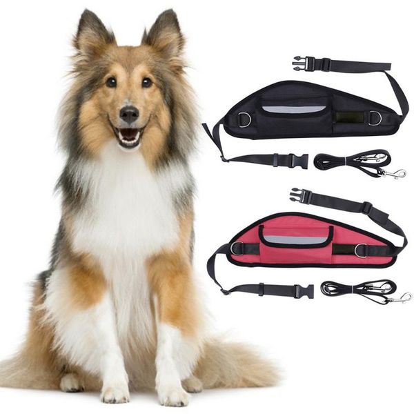 

outdoor sports pet traction belt waist bag easy to carry dog reflective design supplies car seat covers