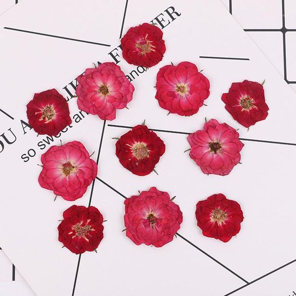 

decorative flowers & wreaths 1 bag beautiful rose dried flower phone case diy pressed material1