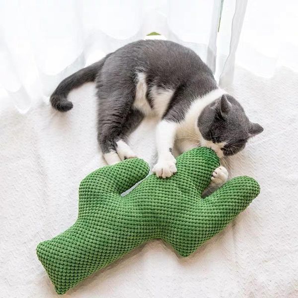 

cat toys catnip plush cactus pillow toy scratch-resistant pet for cats mascotas accessories juguetes para gatos sphynx supplies
