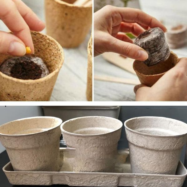 

environmentally friendly plant cup planting flower pot tray garden sale planters & pots