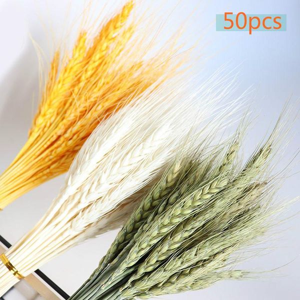 

decorative flowers & wreaths 50 pieces 23/50cm of real wheat ear flower decoration natural dried wedding party diy craft bouquet