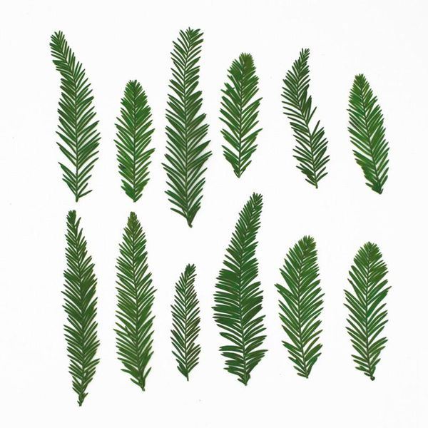 

decorative flowers & wreaths 12pcs small green leaf cedar herbarium dried embossed drip glue phone case children manual bookmark