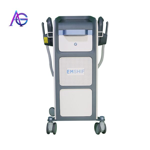 

2021 latest emslim rf hi-emt machine the third part of the payment (qem logo)
